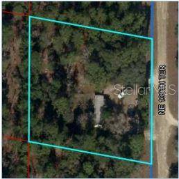 350 NE 139TH TER, Williston, FL 32696