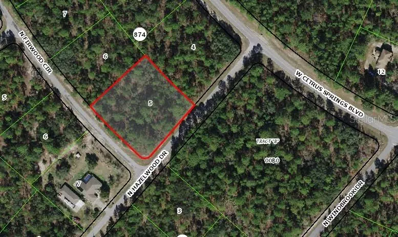 Citrus Springs, FL 34433,7329 N FIRWOOD CIR