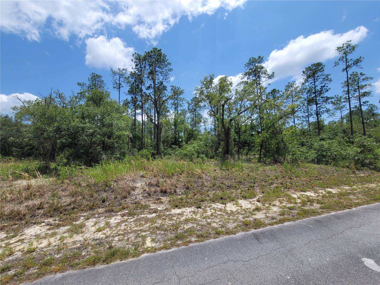 TBD SW BARNACLE DR, Dunnellon, FL 34431