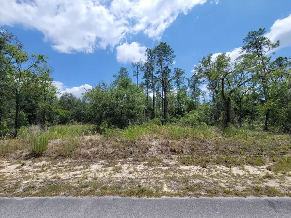 Dunnellon, FL 34431,TBD SW BARNACLE DR