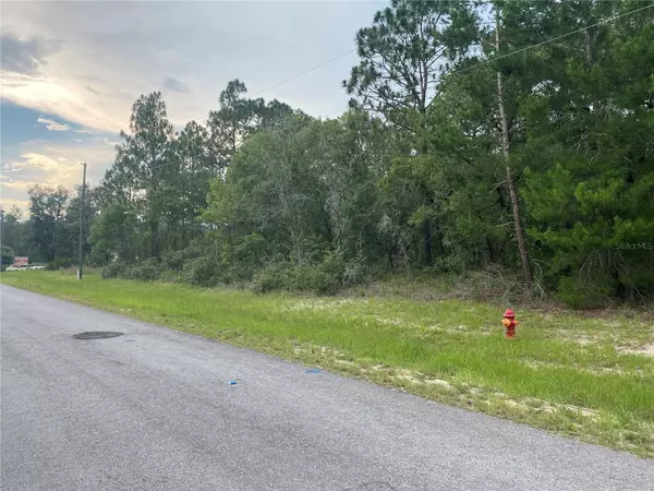 Ocala, FL 34473,TBD SW 136 ST