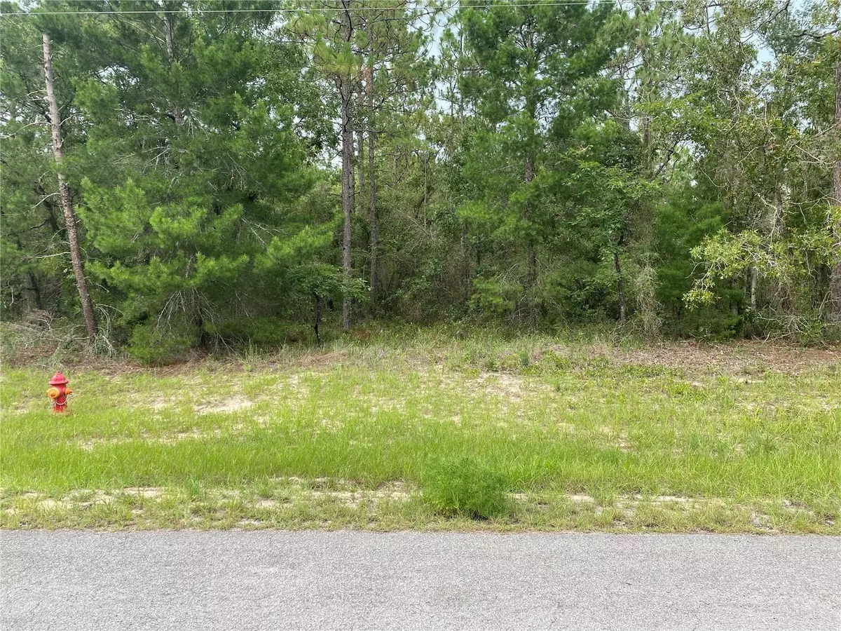 Ocala, FL 34473,TBD SW 136 ST