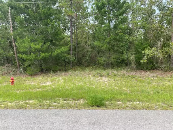 TBD SW 136 ST, Ocala, FL 34473