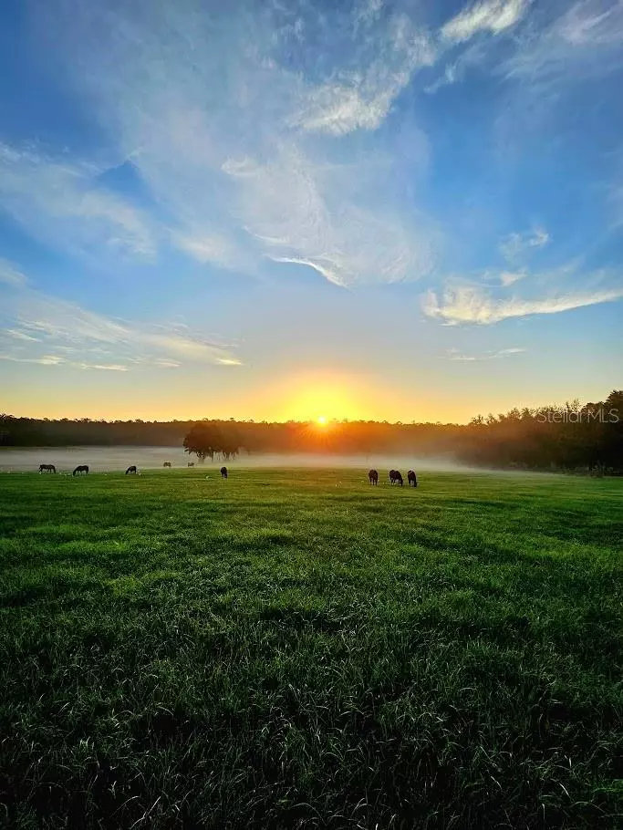 Reddick, FL 32686,TBD N HIGHWAY 329