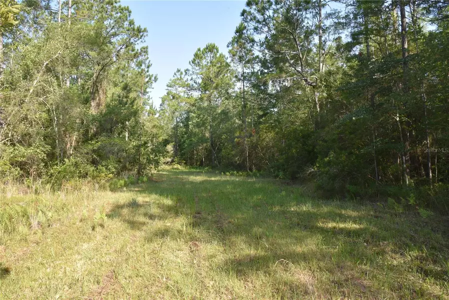 17007 COUNTY ROAD 1475, , Gainesville, FL 32609