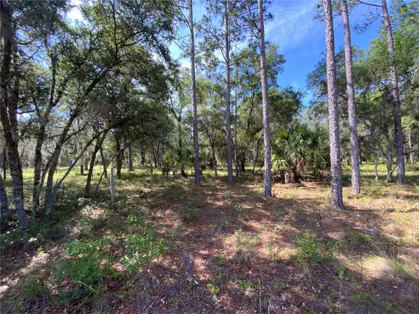 Morriston, FL 32668,TBD SE 78TH STREET