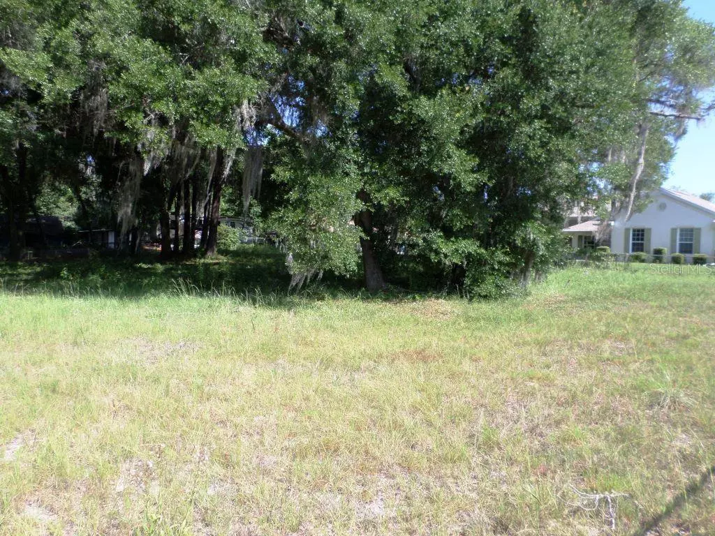 Dunnellon, FL 34432,000 BLUE HERON CT #000