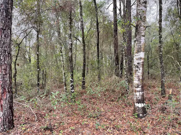 Williston, FL 32696,Lot 6 NE 6 CIR