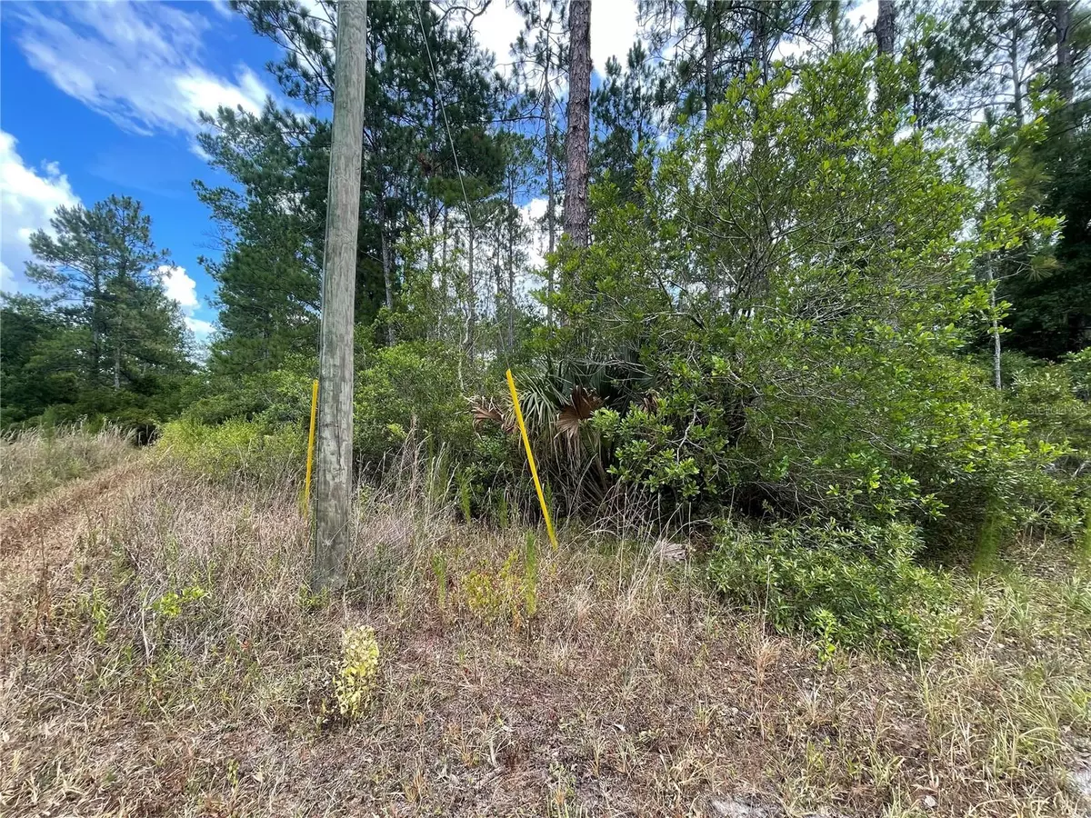 Orange Springs, FL 32182,TBD NE 235TH ST