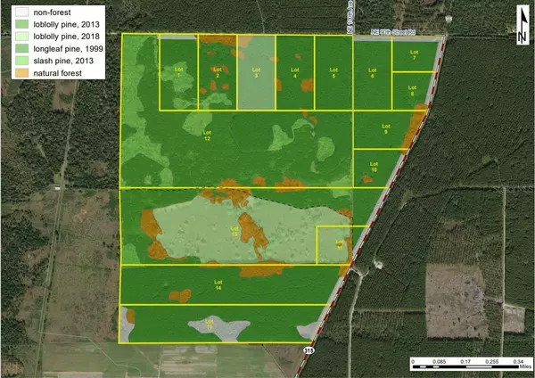 Ocala, FL 34479,LOT 3 NE 90TH STREET RD