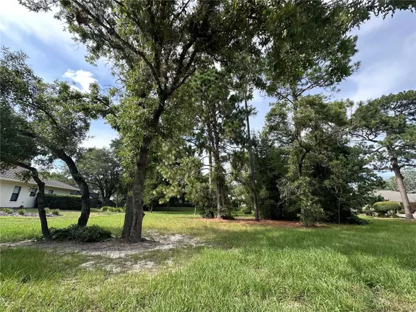 Lecanto, FL 34461,3381 N BENT TREE PT