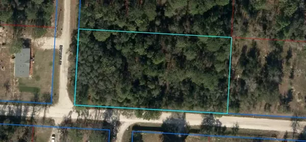 Morriston, FL 32668,TBD SE 140TH AVE