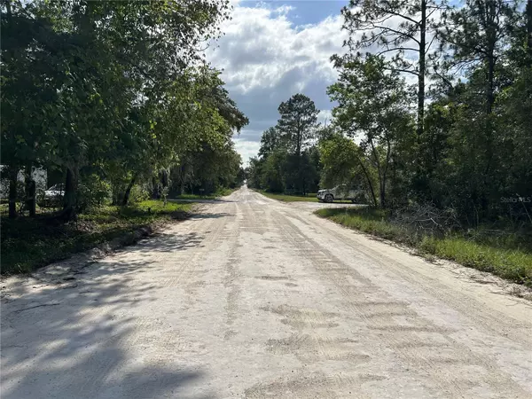 Morriston, FL 32668,TBD SE 140TH AVE