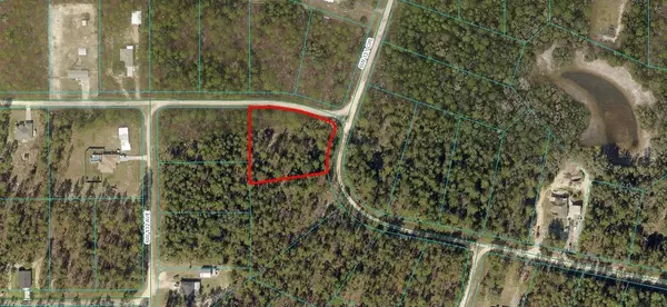 Ocala, FL 34481,0 SW 131ST CIR LOT 10