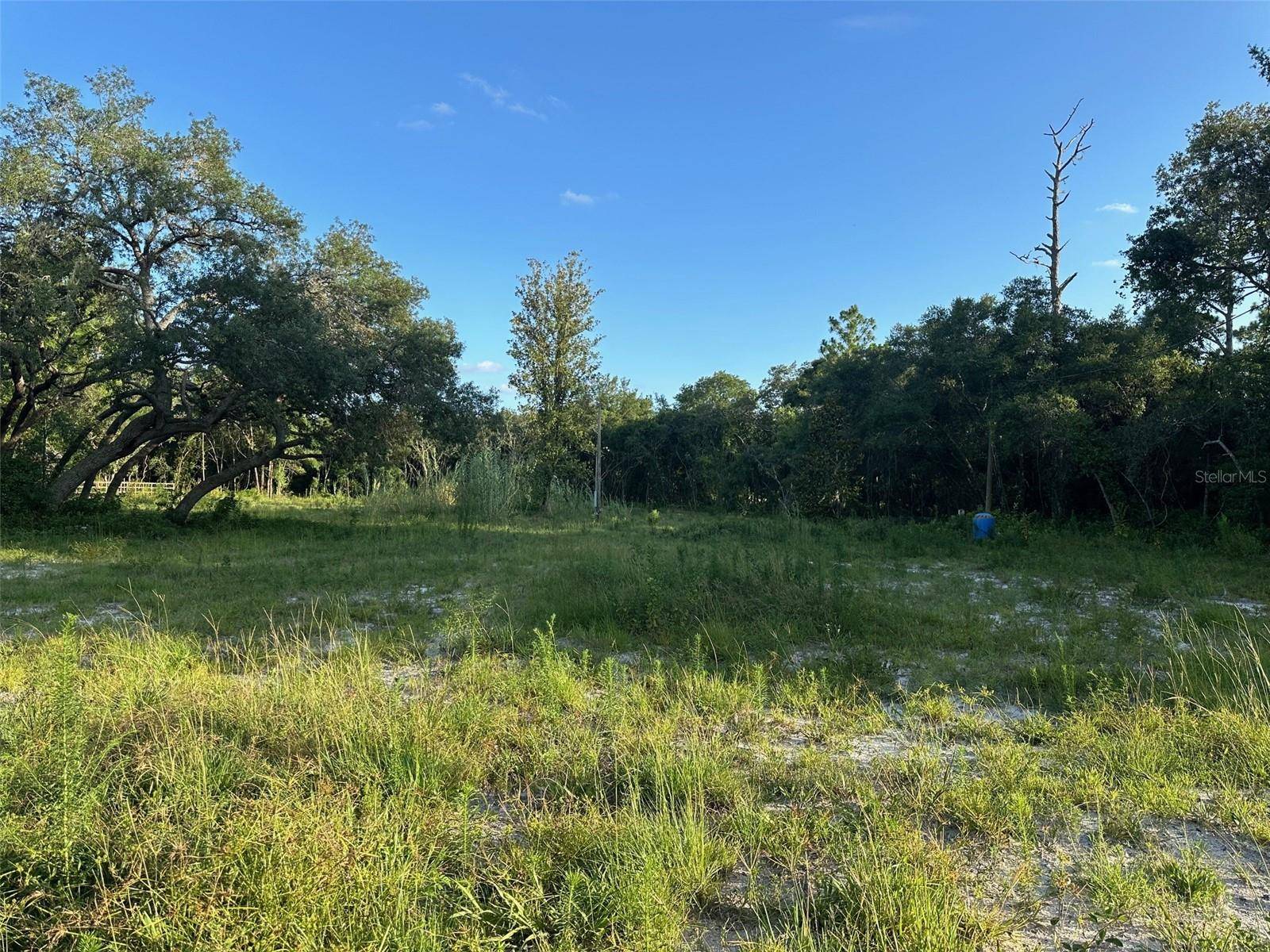 Dunnellon, FL 34432,7772 SW 151ST PL