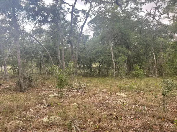 Dunnellon, FL 34431,00000 SW WILLOLW RD