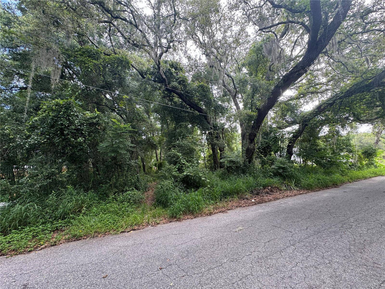 Fruitland Park, FL 34731,LEESBURG BLVD