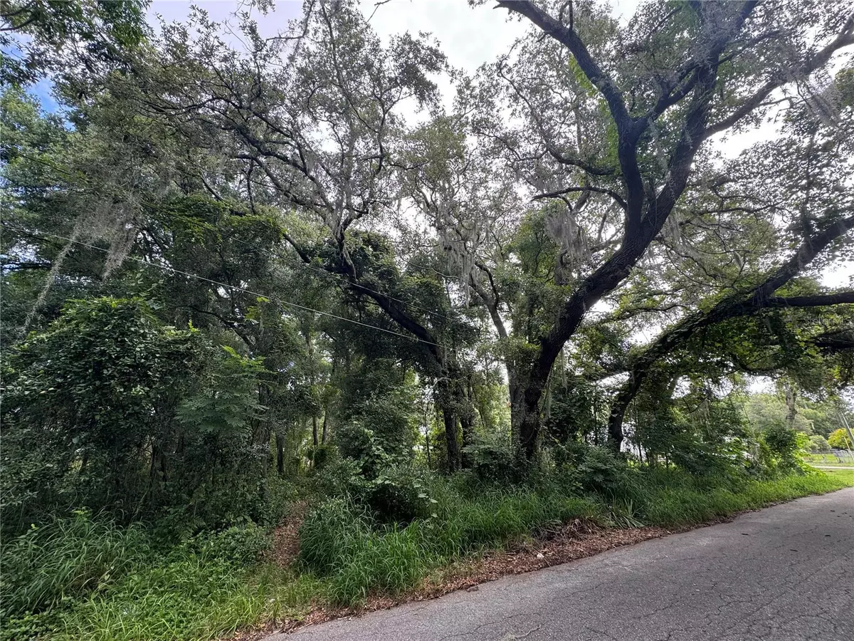 Fruitland Park, FL 34731,LEESBURG BLVD