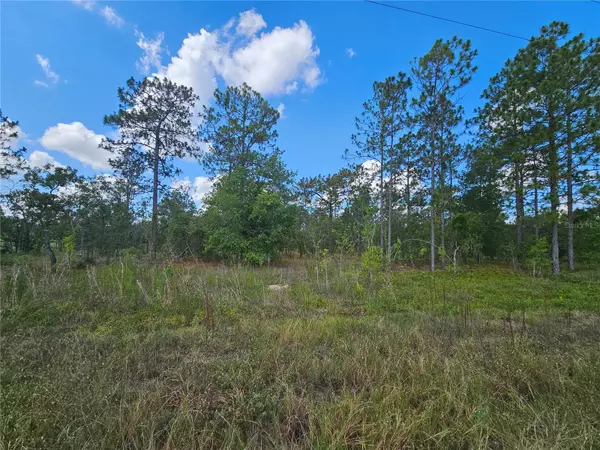 SE 73RD LN, Morriston, FL 32668