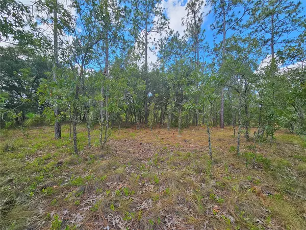 Morriston, FL 32668,SE 73RD LN