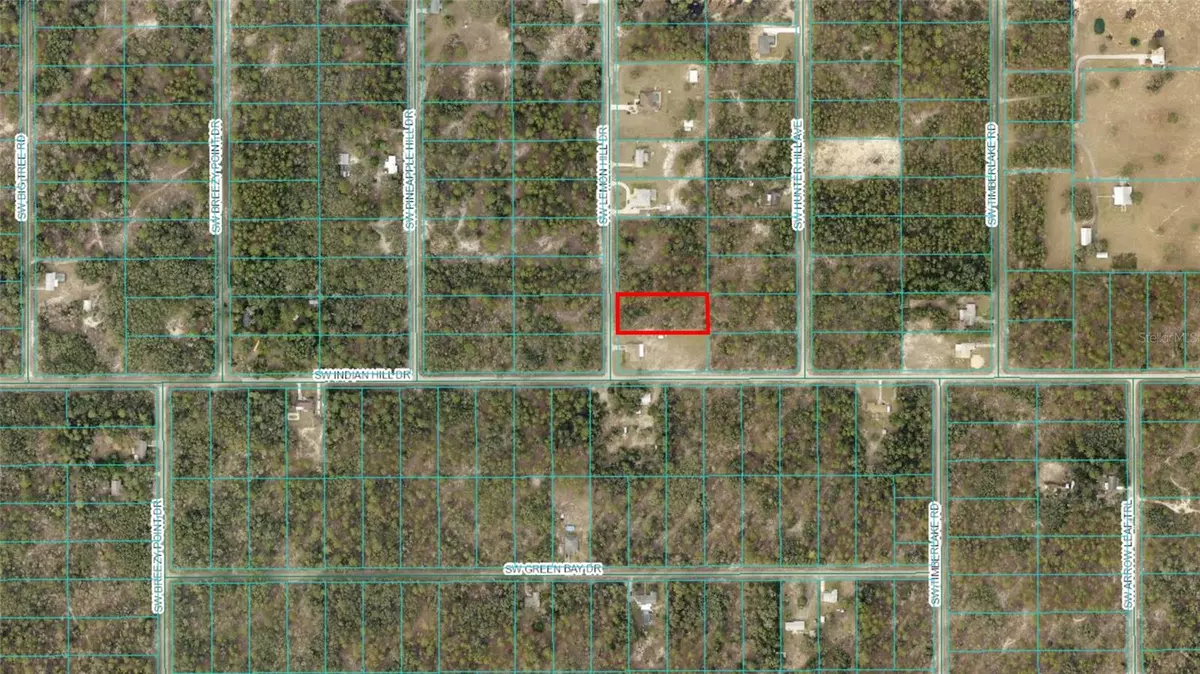 Dunnellon, FL 34431,00 SW LEMON HILL DRIVE