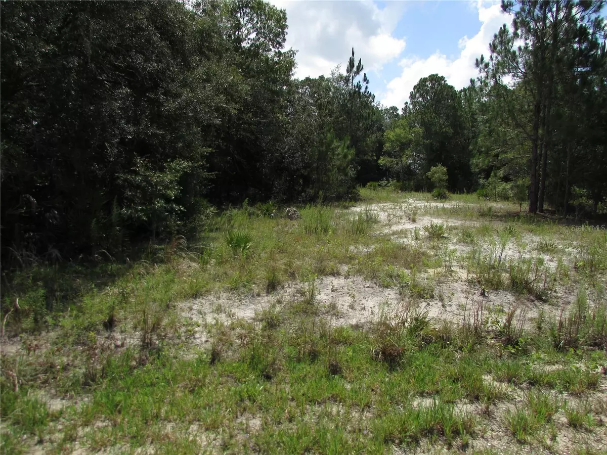 Dunnellon, FL 34431,Lot 13 SW SOUTH HAVEN CT