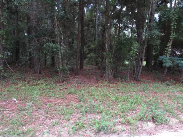 Ocala, FL 34481,Lot 6 SW 40TH PLACE RD