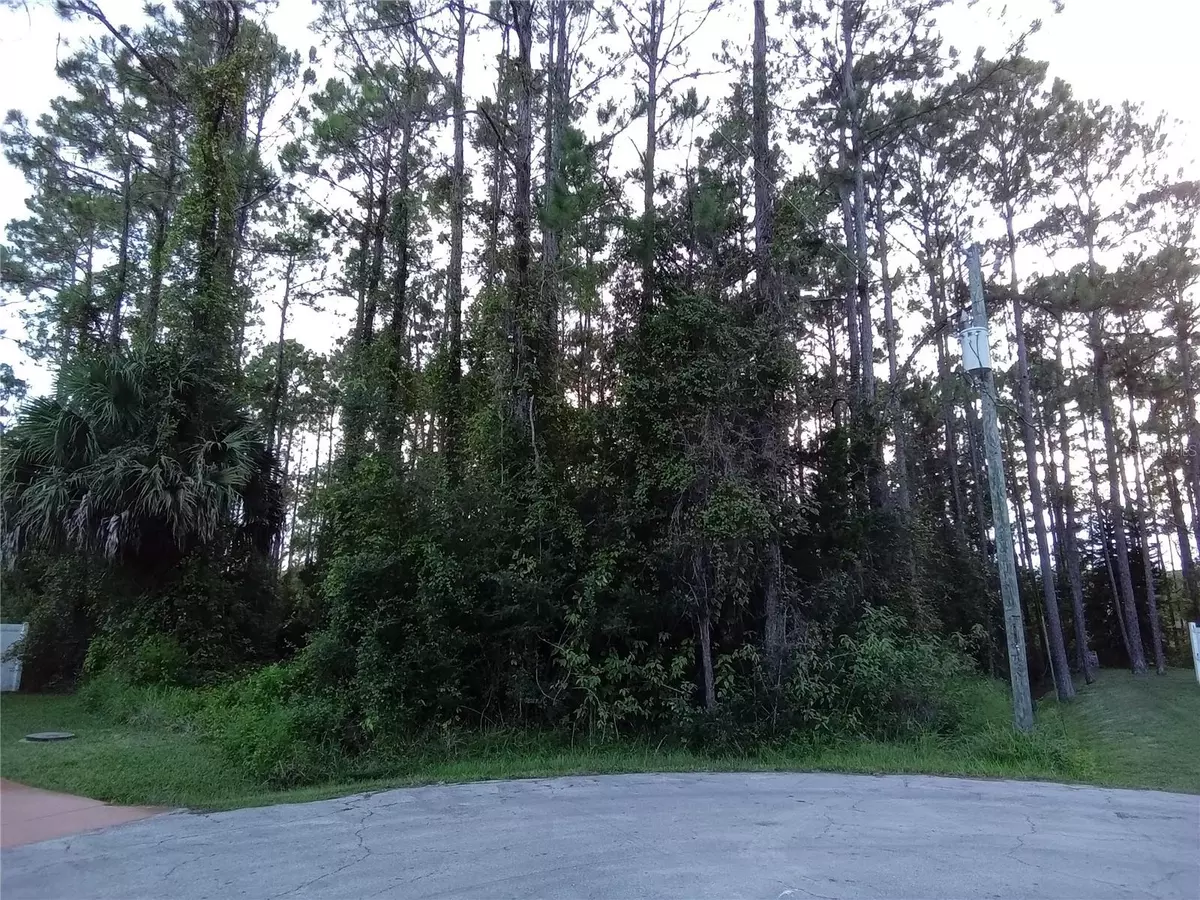 Palm Coast, FL 32164,12 RADIUS PL