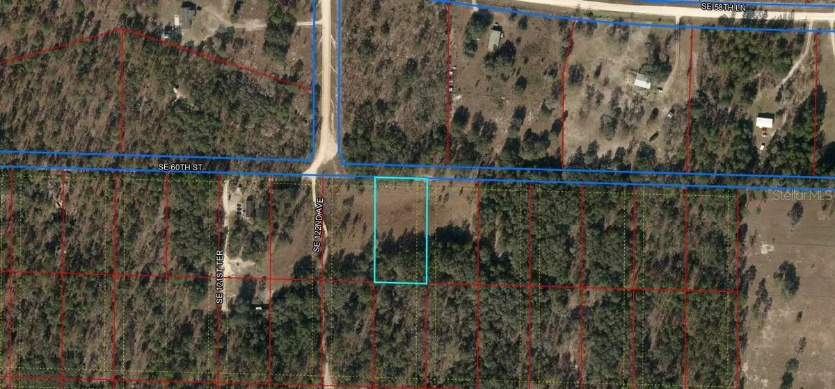 Morriston, FL 32668,TBD SE 60TH ST