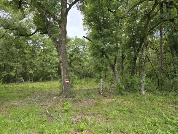 Williston, FL 32696,00 NE SR-121S HWY