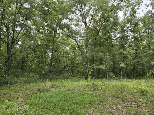 Williston, FL 32696,00 NE SR-121S HWY