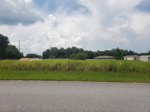 TBD LOCUST LOOP CIRCLE, Ocala, FL 34472