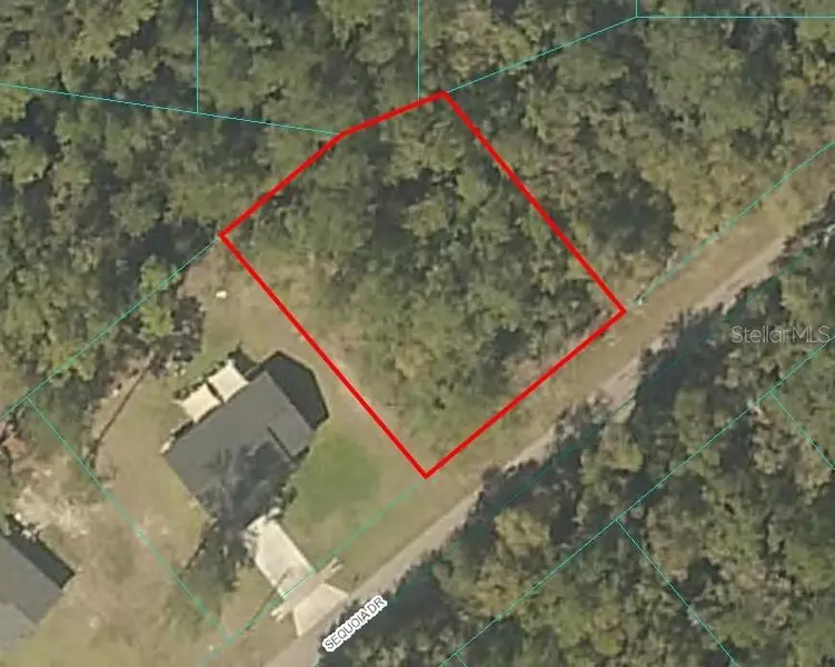 SEQUOIA DRIVE, Ocklawaha, FL 32179