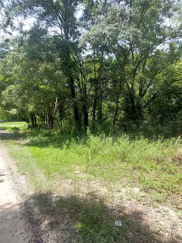 00 SW 110 PL #LOT 11, Dunnellon, FL 34432