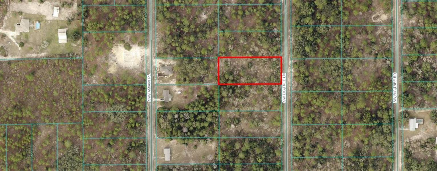 00 SW FIG TREE LN, Dunnellon, FL 34431