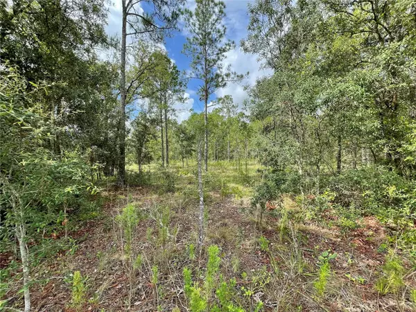 Morriston, FL 32668,Lot 21 SE 21 ST