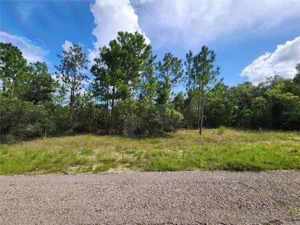 3504 W SEAHORSE LN, Dunnellon, FL 34433