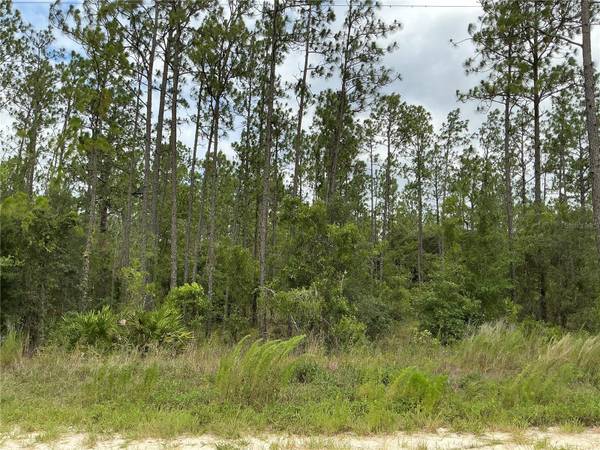 LOT 11 SW 73RD ST,  Dunnellon,  FL 34432