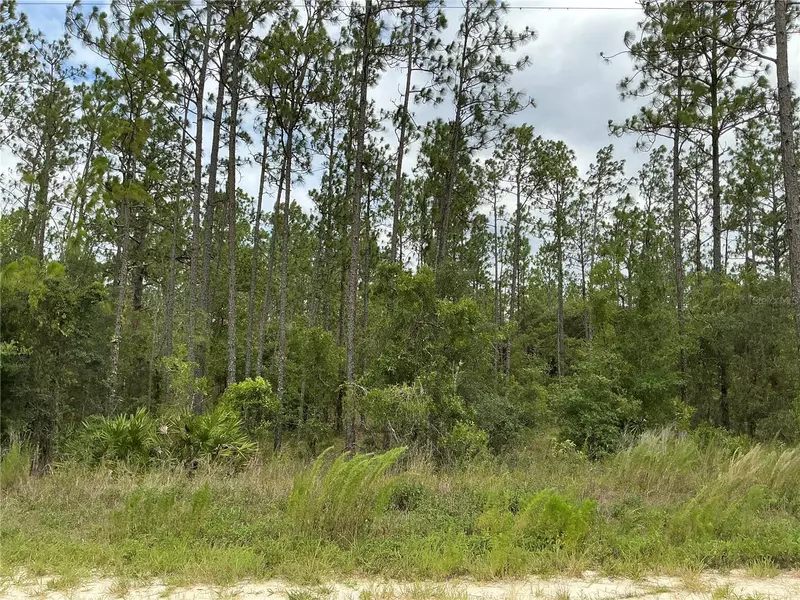 LOT 11 SW 73RD ST, Dunnellon, FL 34432