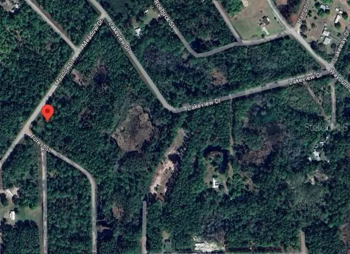 120 MEADOW DR, Georgetown, FL 32139