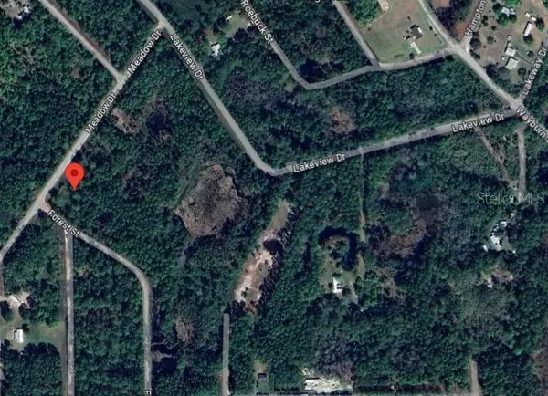 120 MEADOW DR, Georgetown, FL 32139