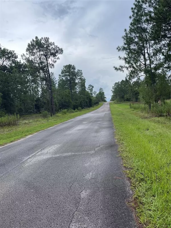 Dunnellon, FL 34431,0 SW 207 CT