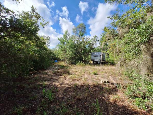 Fort Mc Coy, FL 32134,0 NE 135TH ST