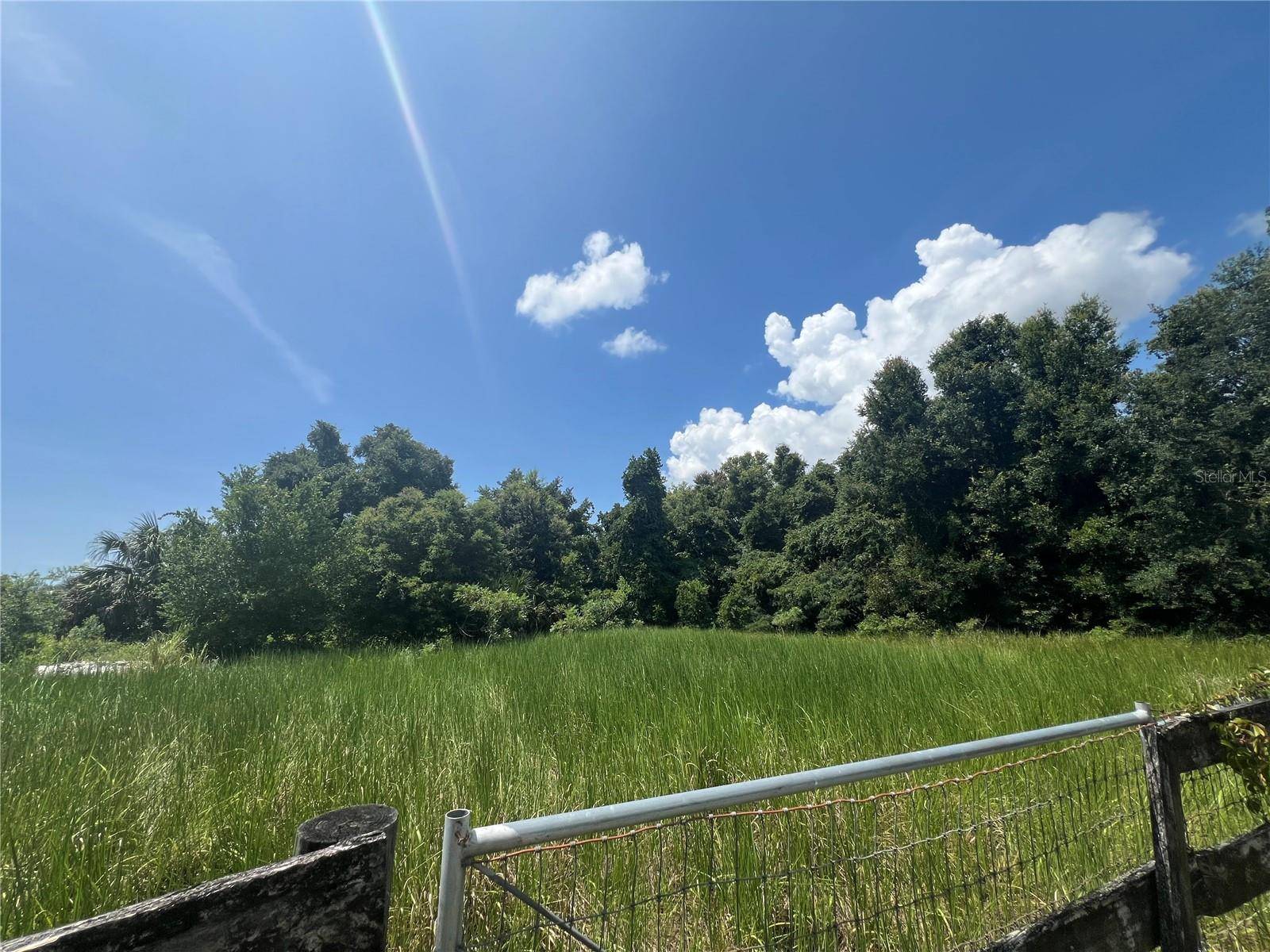 Summerfield, FL 34491,SE 144TH PL