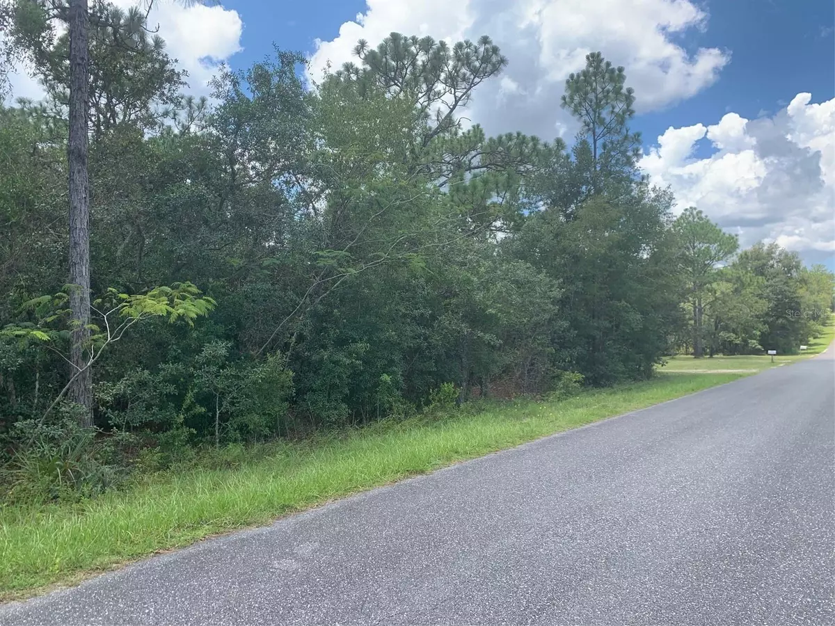 Dunnellon, FL 34431,0 SW MANGO LN