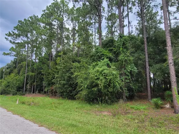 Dunnellon, FL 34432,TBD SW 109TH ST