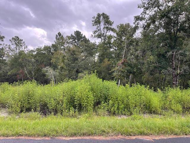 Lot 03 LOCUST RADIAL, Ocala, FL 34472