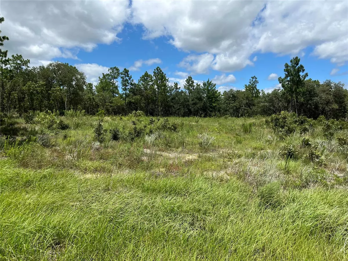 Dunnellon, FL 34432,TBD SW 88TH ST