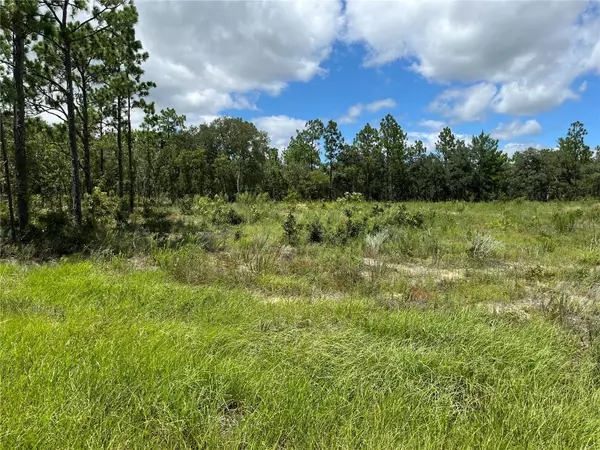 Dunnellon, FL 34432,TBD SW 88TH ST