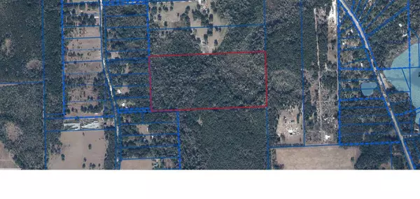 Hawthorne, FL 32640,TBD SE 225TH DR